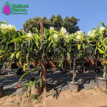 Load image into Gallery viewer, Family Farm Tour