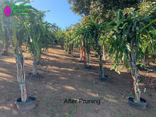 Load image into Gallery viewer, Family Farm Tour