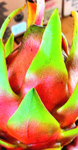 Load image into Gallery viewer, Fresh Dragon Fruit 2, 4 or 6 Pound Box FREE SHIPPING USDA Certified Organic