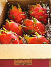 Load image into Gallery viewer, Fresh Dragon Fruit 4 or 7  Pound Gift Box Certified Organic Dragon Fruit
