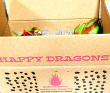 Load image into Gallery viewer, Fresh Dragon Fruit 2, 4 or 6 Pound Box FREE SHIPPING USDA Certified Organic