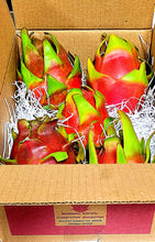 Load image into Gallery viewer, Fresh Dragon Fruit 2, 4 or 6 Pound Box FREE SHIPPING USDA Certified Organic