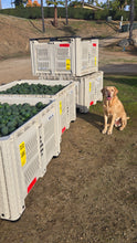 Load image into Gallery viewer, Organic Hass Avocados Includes Shipping
