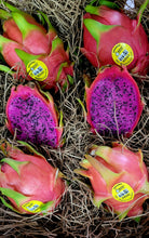 Load image into Gallery viewer, Fresh Cerified Organic Dragon Fruit Gift Pack PICK UP ONLY Bonsall, CA 92003