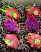 Load image into Gallery viewer, Fresh Cerified Organic Dragon Fruit Gift Pack PICK UP ONLY Bonsall, CA 92003