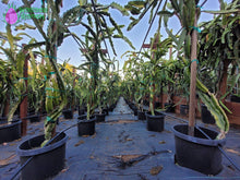 Load image into Gallery viewer, Small Farm Consultation Tour