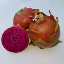 Load image into Gallery viewer, Shayna