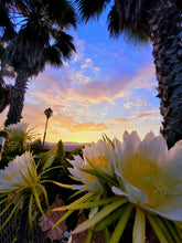 Load image into Gallery viewer, Small Farm Consultation Tour