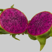 Load image into Gallery viewer, Condor Dragon Fruit Cutting