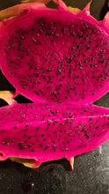 Load image into Gallery viewer, ES1 Dragon Fruit Cutting Plant Material