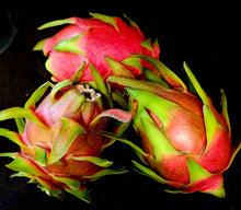 Load image into Gallery viewer, Fresh Dragon Fruit 2, 4 or 6 Pound Box FREE SHIPPING USDA Certified Organic