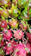 Load image into Gallery viewer, Fresh Dragon Fruit 2, 4 or 6 Pound Box FREE SHIPPING USDA Certified Organic