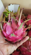 Load image into Gallery viewer, Fresh Dragon Fruit 2, 4 or 6 Pound Box FREE SHIPPING USDA Certified Organic
