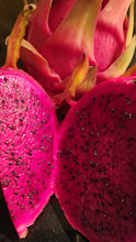 Load image into Gallery viewer, ES1 Dragon Fruit Cutting Plant Material