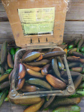 Load image into Gallery viewer, Australian Finger Limes USDA Certified Organic