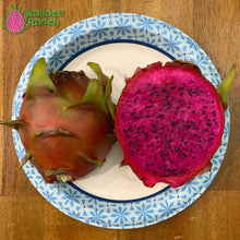 Load image into Gallery viewer, American Beauty Dragon Fruit Pitaya Pitahaya