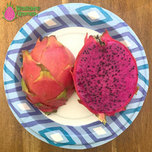 Load image into Gallery viewer, American Beauty Dragon Fruit Pitaya Pitahaya