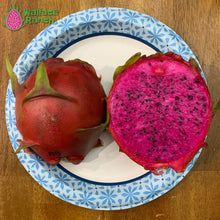 Load image into Gallery viewer, American Beauty Dragon Fruit Pitaya Pitahaya