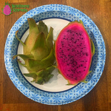 Load image into Gallery viewer, Ax Dragon Fruit Pitaya Pitahaya