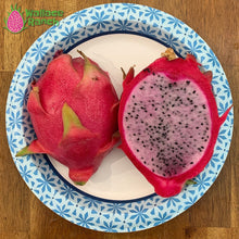 Load image into Gallery viewer, Delight Dragon Fruit Pitaya Pitahaya