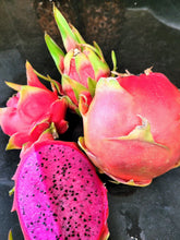 Load image into Gallery viewer, Bulk Box ORGANIC Dragon FRUIT- Pick Up Only, Read Descriptions for Quality and Sizing