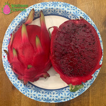 Load image into Gallery viewer, Lisa Dragon Fruit Pitaya Pitahaya