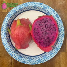 Load image into Gallery viewer, Physical Graffiti Dragon Fruit Pitaya Pitahaya
