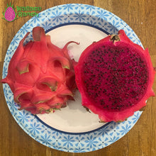 Load image into Gallery viewer, Robles Red Dragon Fruit Pitaya Pitahaya