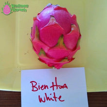 Load image into Gallery viewer, Bien Hoa Dragon Fruit Pitaya Pitahaya