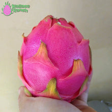 Load image into Gallery viewer, Bien Hoa Dragon Fruit Pitaya Pitahaya