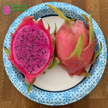 Load image into Gallery viewer, Dark Star Dragon Fruit Pitaya Pitahaya
