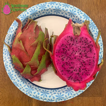 Load image into Gallery viewer, Halley's Comet Dragon Fruit Pitaya Pitahaya