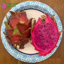 Load image into Gallery viewer, Halley's Comet Dragon Fruit Pitaya Pitahaya