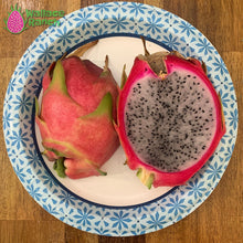 Load image into Gallery viewer, Maria Rosa Dragon Fruit Pitaya Pitahaya