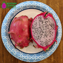 Load image into Gallery viewer, Maria Rosa