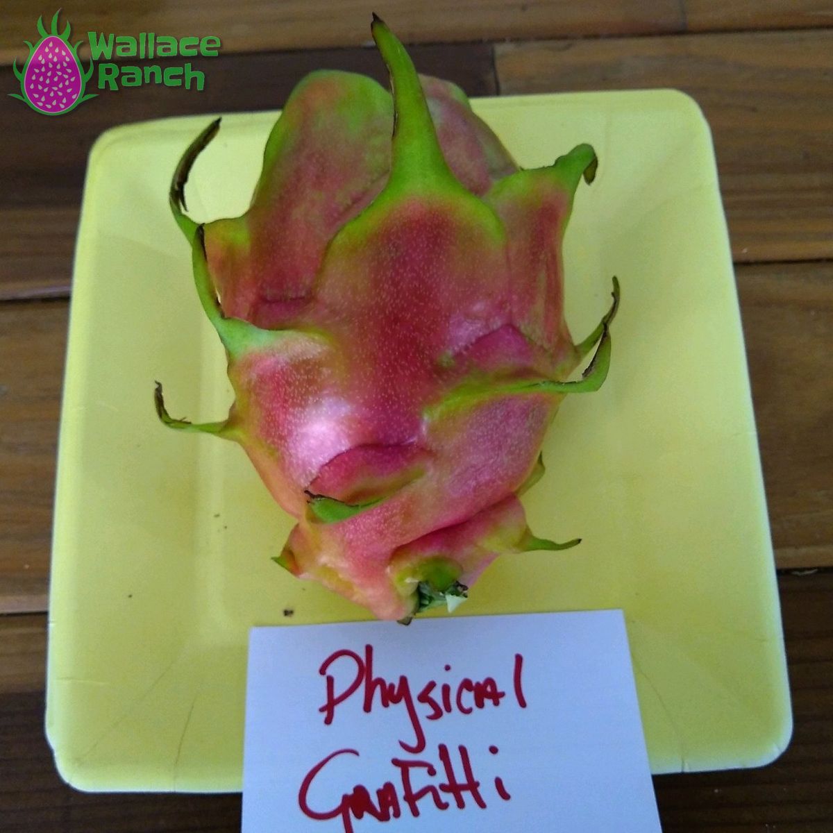 Physical Fruit, DRAGON