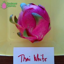 Load image into Gallery viewer, Thai White Dragon Fruit Pitaya Pitahaya