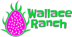 Wallace Ranch Dragon Fruit
