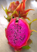 Load image into Gallery viewer, Organic Fruit Sampler: Dragon Fruit, Passionfruit, Australian Finger Limes
