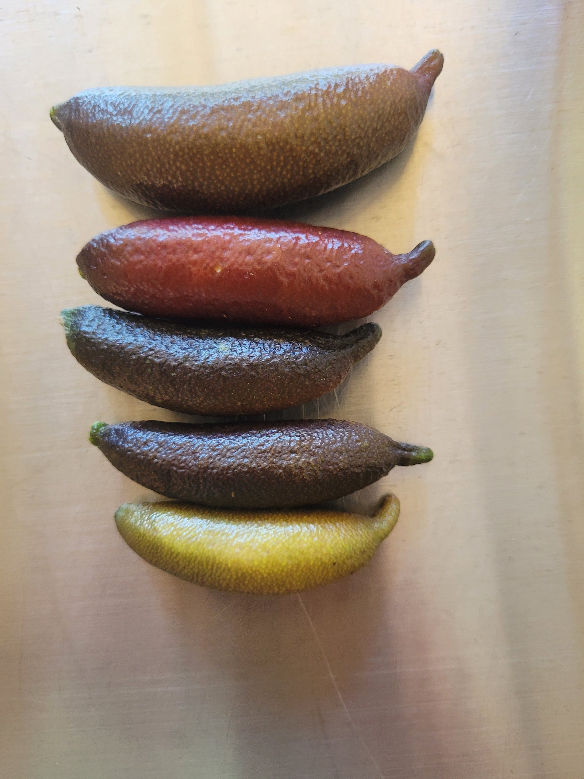 Australian Finger Limes USDA Certified Organic – Wallace Ranch