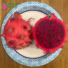 Load image into Gallery viewer, Robles Red Dragon Fruit Pitaya Pitahaya
