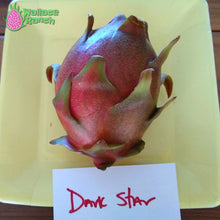 Load image into Gallery viewer, Dark Star Dragon Fruit Pitaya Pitahaya
